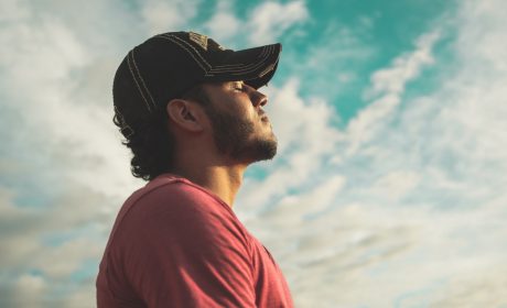 pexels-kelvin-valerio-810775 pexels-kelvin-valerio-810775